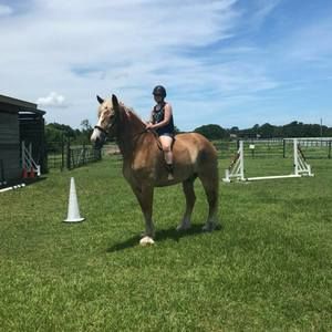 Meet your Posher, Morgan